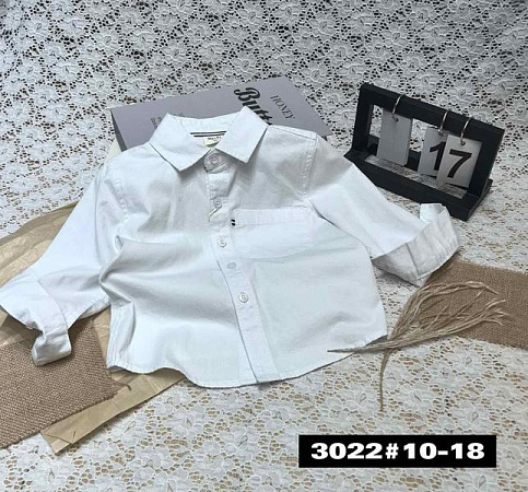 Рубашка Meloria 3022 white - делук