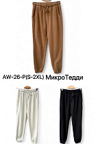 Штаны Спорт Liopt AW26P black - делук