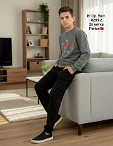 Костюм Amz 285-2 grey - делук