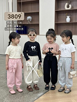 Штаны Спорт Фунтик 3809 black - делук