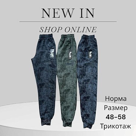 Штаны Спорт Phi Hung P43 black - делук