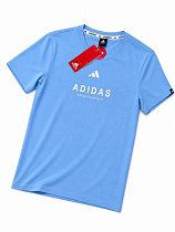 Футболка Alex Clothes 14394 l.blue - делук