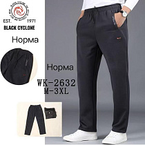 Штаны Спорт Hoan 2632 navy - делук