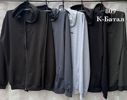 Кофта Спорт Shon S2541 black - делук