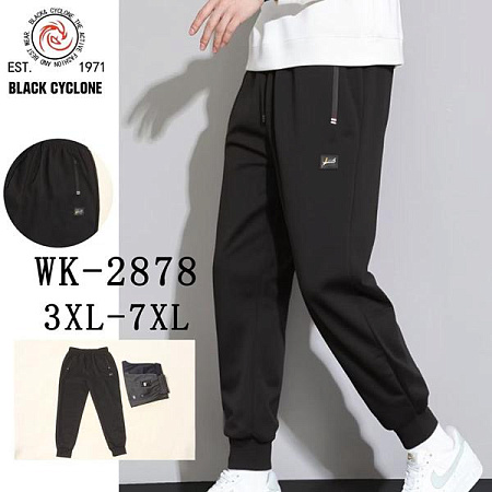 Штаны Спорт Giang 2878 grey - делук