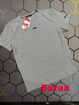 Футболка Alex Clothes 4280 grey - делук