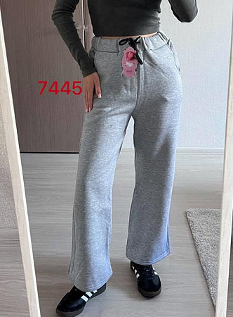 Штаны Спорт Fsn 7445 grey - делук