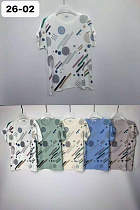 Футболка Liopt 26-02 mix - делук