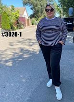 Штаны Спорт Bat 3020-1 navy - делук