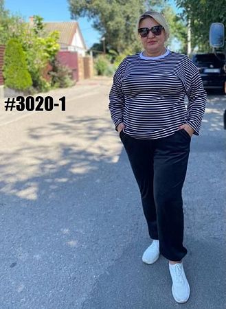 Штаны Спорт Bat 3020-1 navy - делук