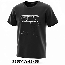 Футболка Liopt 2557-1 black - делук