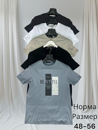 Футболка Hai H398 black - делук
