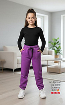 Штаны Спорт Amz D410 purple - делук