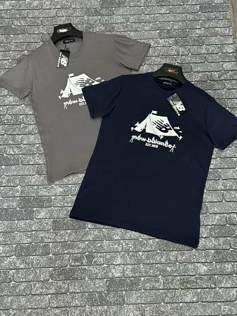 Футболка F.T.H F104 grey - делук