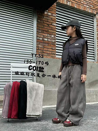 Штаны Спорт Delfinka C01 grey - делук