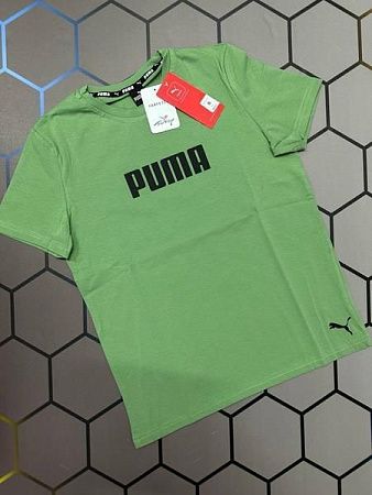 Футболка Alex Clothes 4528 green - делук
