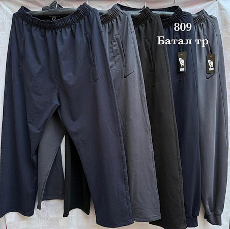 Штаны Спорт Shon S1982 grey - делук