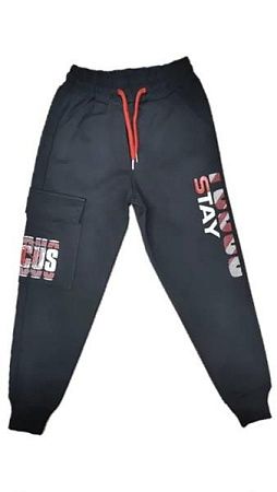 Штаны Спорт Malibu2 5084-1 black - делук