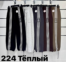 Штаны Спорт T.S.Eliot 224 l.grey - делук