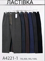 Штаны Hoan A4221-1 mix - делук