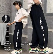 Штаны Спорт Фунтик 2362 grey - делук