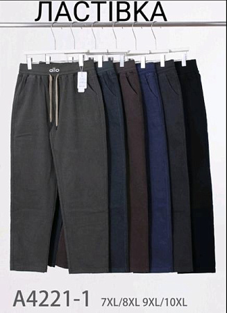 Штаны Hoan A4221-1 mix - делук