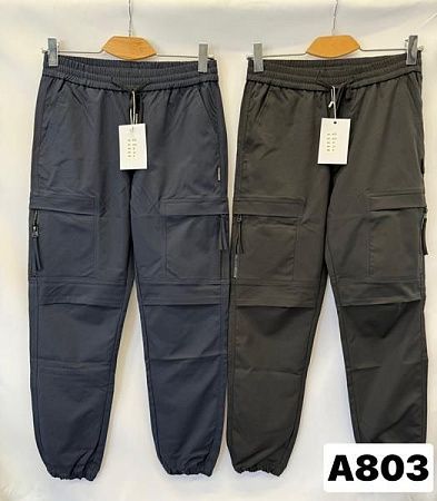 Штаны Спорт Ale-Ate A803 black - делук