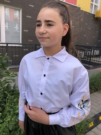 Рубашка Moda School M5 white - делук