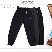 Штаны Спорт Hoan WK7051 navy - делук