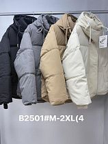 Куртка Jacket B2501 l.beige - делук