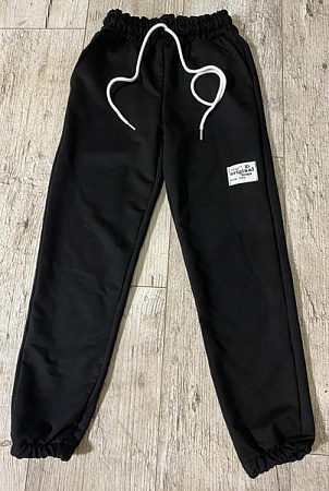 Штаны Спорт Proschenko PR831 black - делук