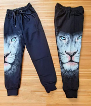 Штаны Спорт Meloria ML3540 black - делук