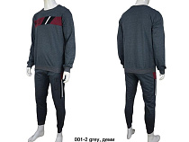 Костюм Спорт 4 Seasons A01-40 d.grey - делук