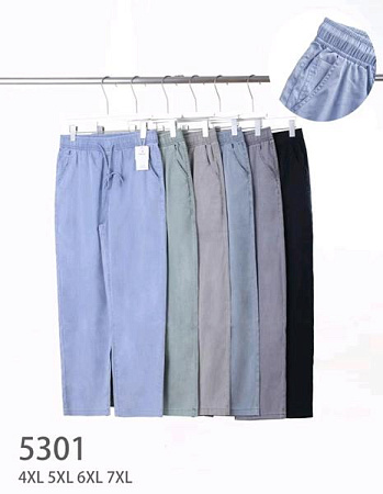 Штаны Hoan 5301 mix - делук