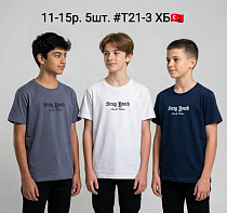 Футболка Amz T21-3 white - делук