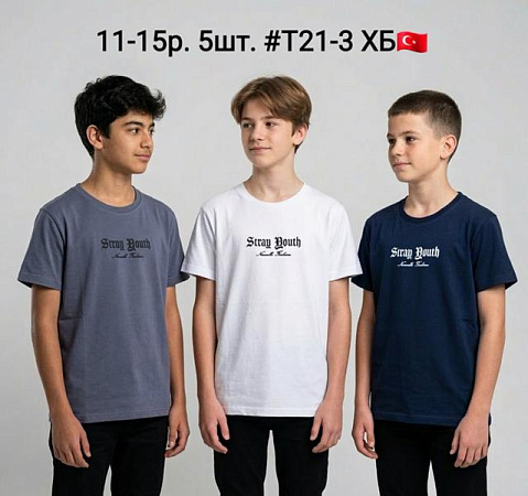 Футболка Amz T21-3 white - делук