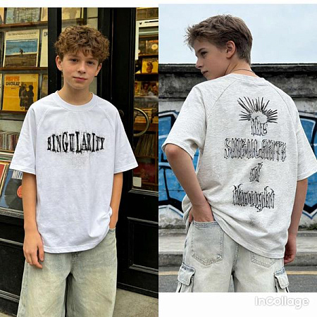 Футболка Fili Kids 26206 grey - делук