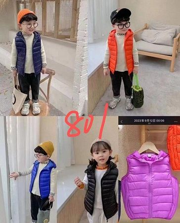 Жилетка Farbique 801 navy - делук
