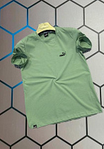 Футболка Alex Clothes 13253 green - делук