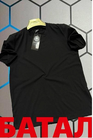 Футболка Alex Clothes 13111 black - делук