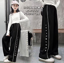 Штаны Спорт Farbique 222 grey - делук