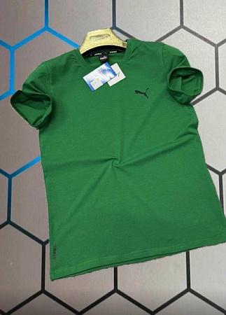 Футболка Alex Clothes 13923 green - делук
