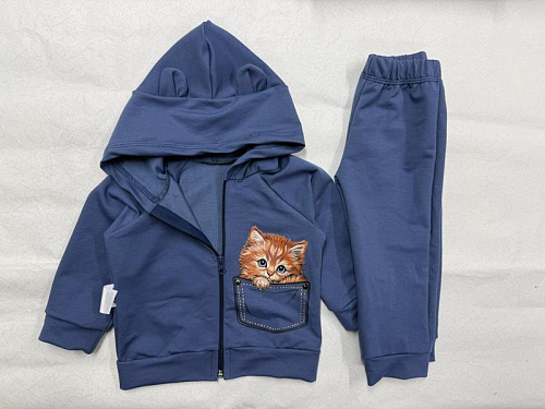 Костюм Спорт Proschenko PR1360 blue - делук