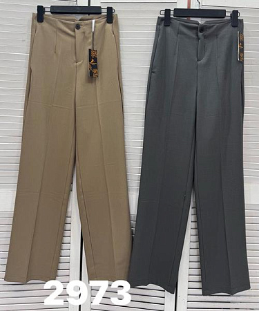 Штаны Спорт Divo 2973 grey - делук