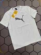Футболка Alex Clothes 4516 white - делук