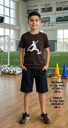Шорты Amz A5-S2630-2 black - делук