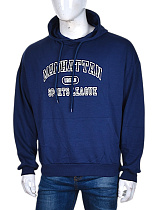 Худи Cnd2 4340-4 - делук